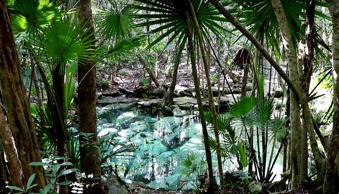 J10 CENOTE AZUL