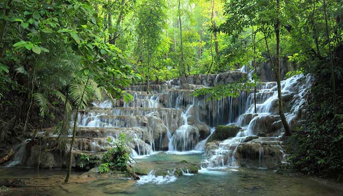 J5 CASCADES PALENQUE